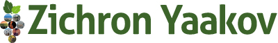 Visit Zichron Yaakov