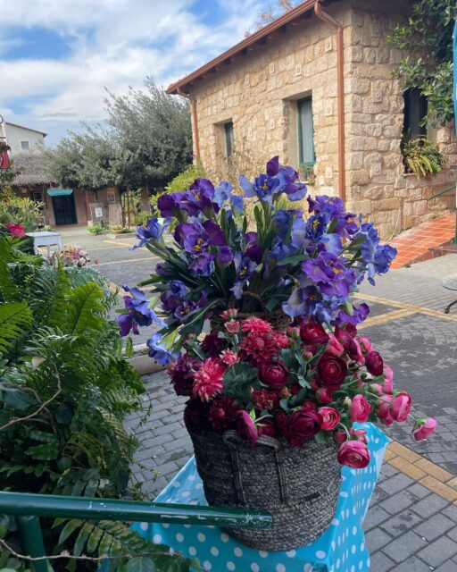 תמונה של פרחים